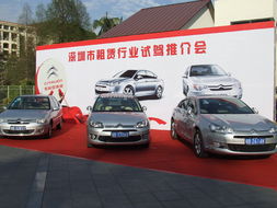 強(qiáng)強(qiáng)聯(lián)手 東風(fēng)雪鐵龍汽車租賃行業(yè)試駕會圓滿舉行